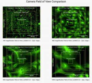 Camera Field of View Comparison1