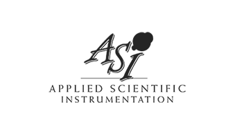 ASI-Grey-Logo