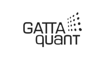 Gatta-Quant-Grey-Logo