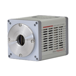 Hamamatsu Flash LT 4.0