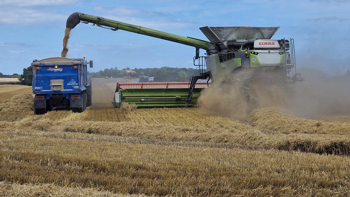 Harvest Time at the Farm 1
