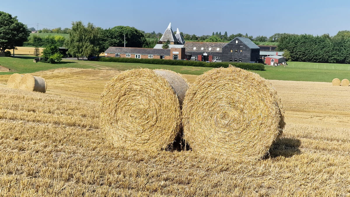 Harvest-Time-at-the-Farm-3