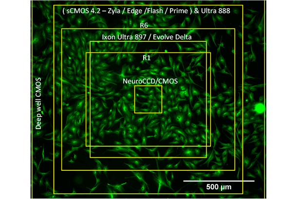 10X magnification Field of View ( sCMOS 5.5 – Zyla / Edge )